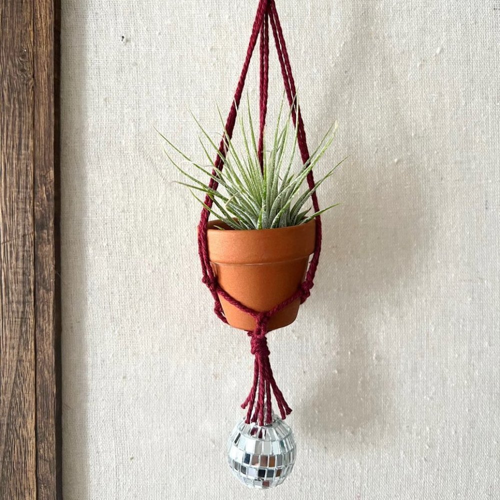 CLEARANCE Burgundy Disco Air Plant Hanger